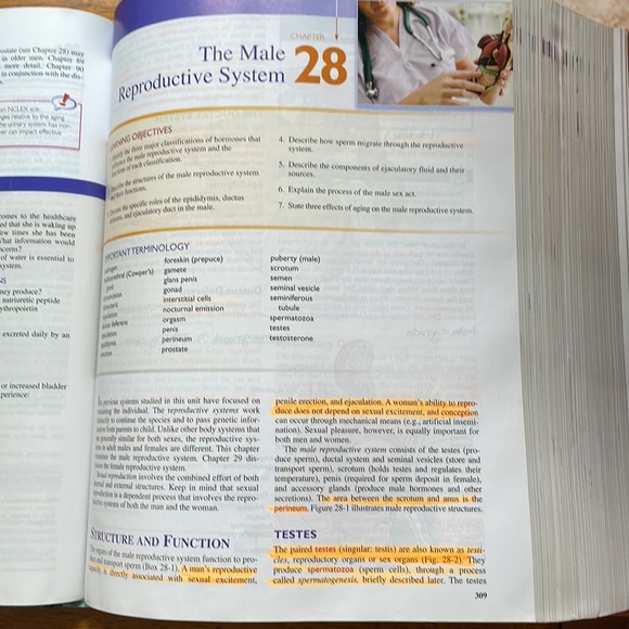 Basic Nursing - Picture 3 of 6